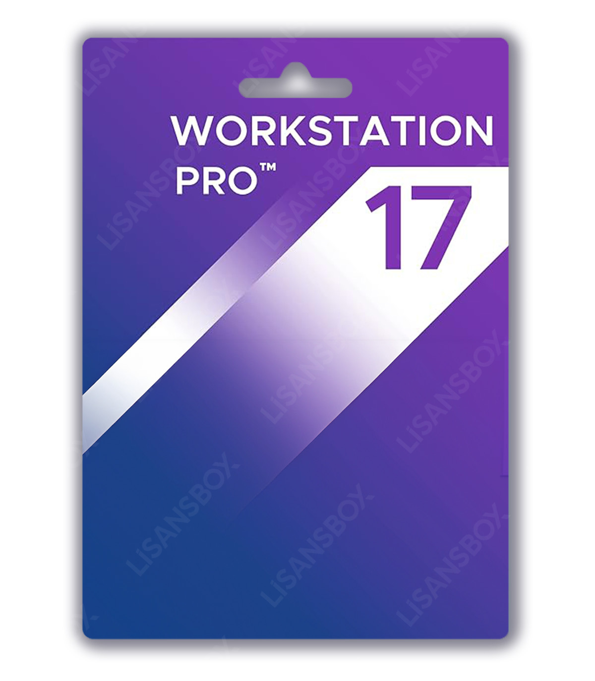 vmware workstation pro 17 dijital lisans