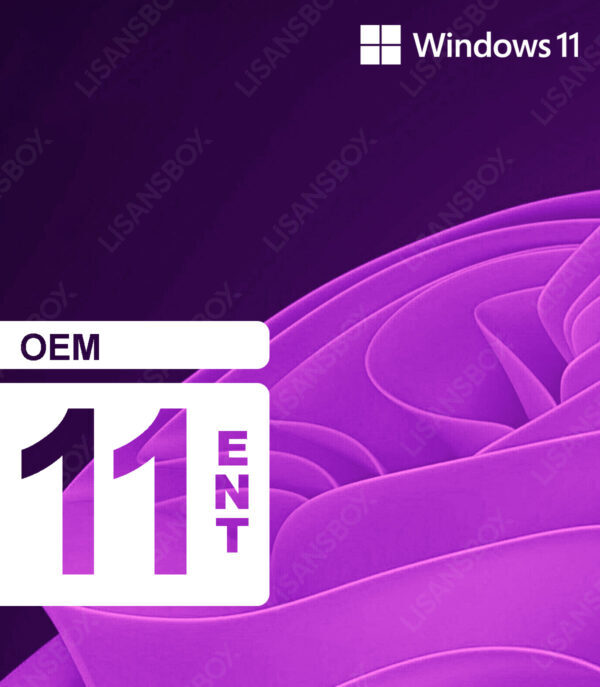 windows 11 enterprise oem