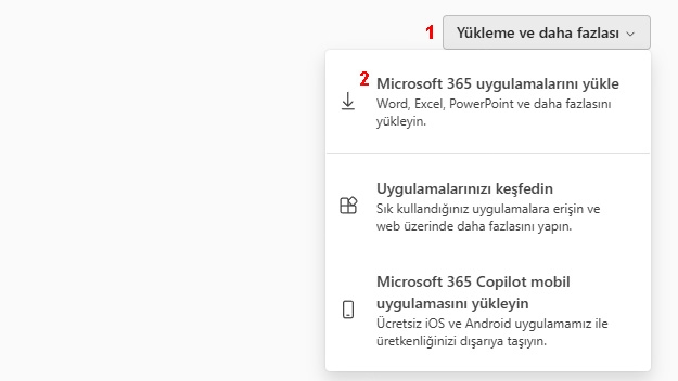 office365